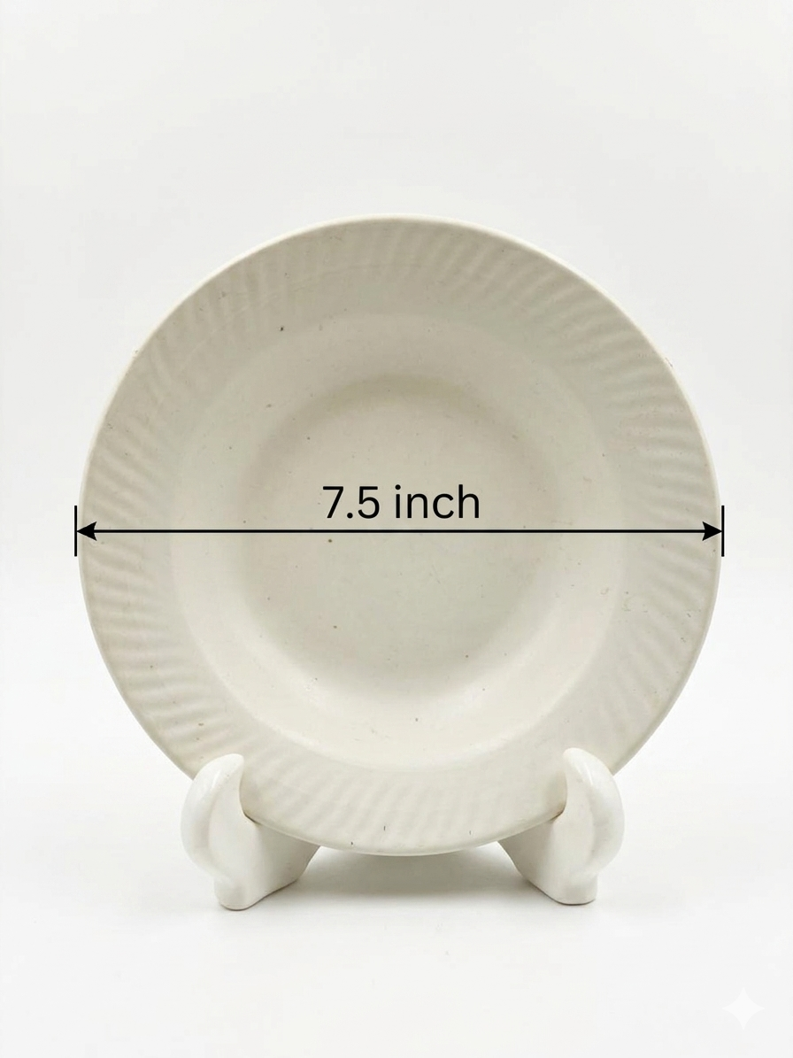 White Pasta plate